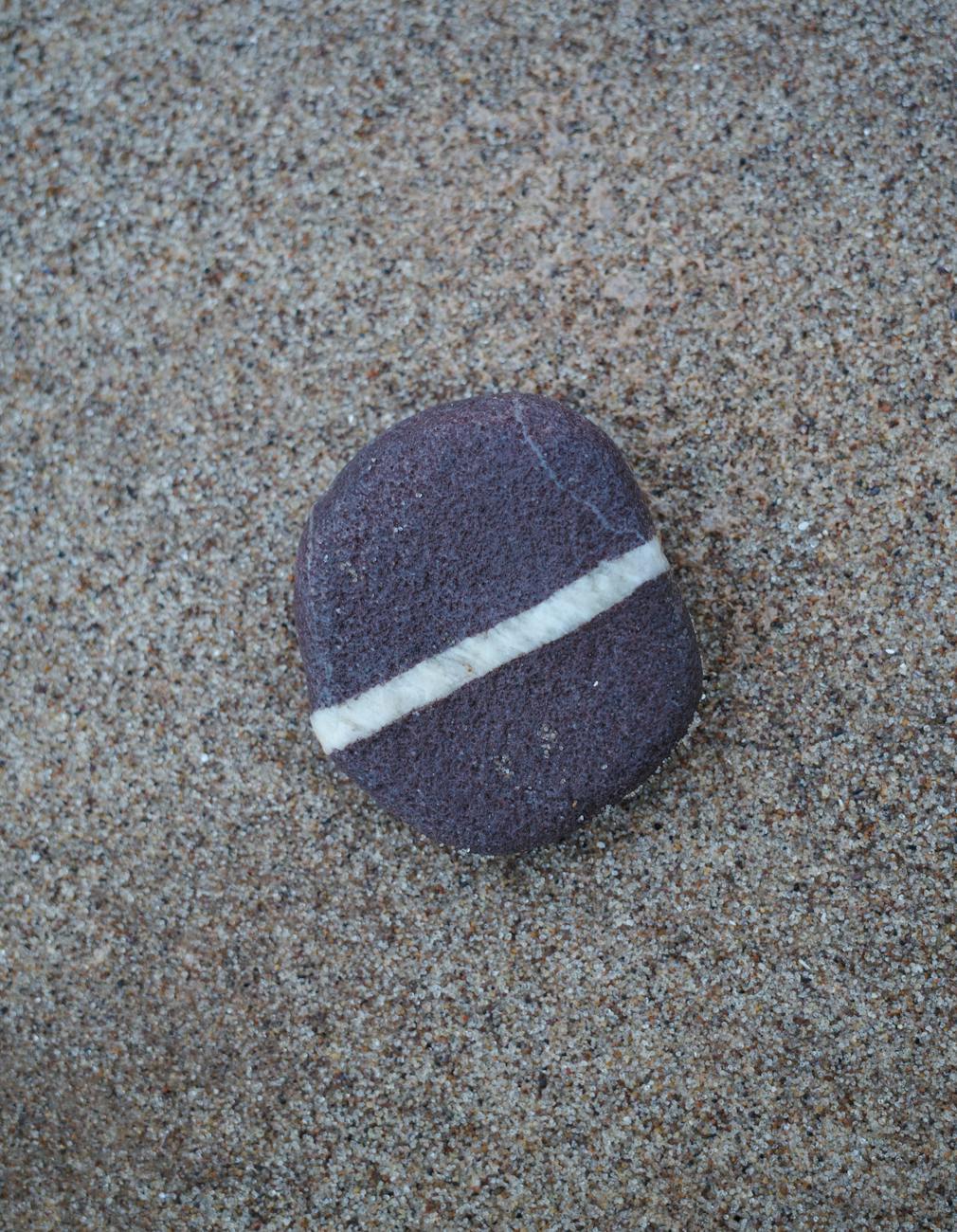 pebble with white stripe on sandy beach
